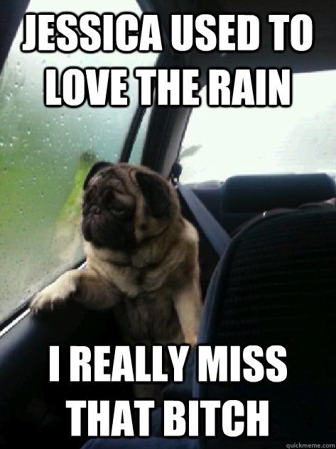 Jessica used to love the rain I really miss that Bitch  Introspective Pug