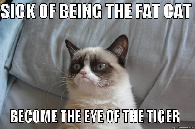 SICK OF BEING THE FAT CAT  BECOME THE EYE OF THE TIGER  Grumpy Cat