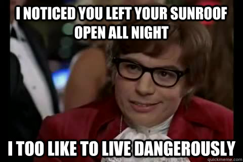 I noticed you left your sunroof open all night i too like to live dangerously  Dangerously - Austin Powers