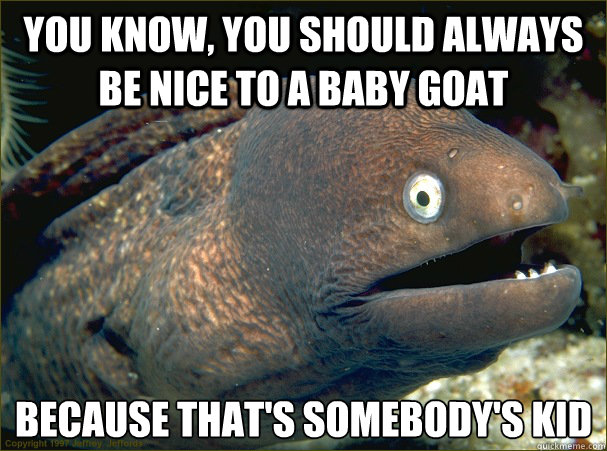 You know, you should always be nice to a baby goat because that's somebody's kid  Bad Joke Eel