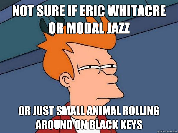 not sure if eric whitacre or modal jazz or just small animal rolling around on black keys  Futurama Fry