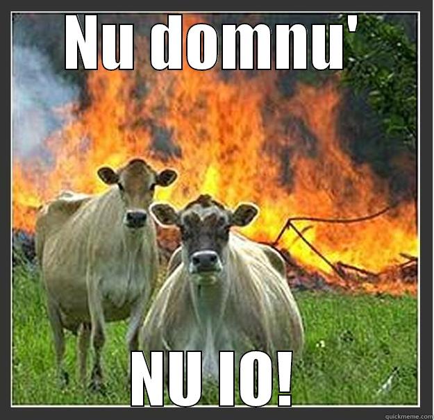 nu domnu - NU DOMNU' NU IO! Evil cows