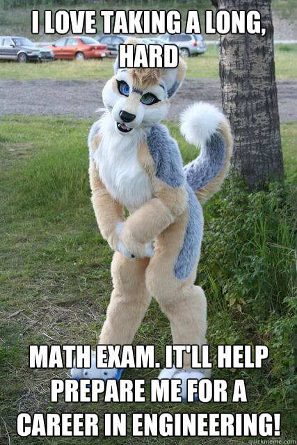 I love taking a long, hard Math exam. It'll help prepare me for a career in engineering! - I love taking a long, hard Math exam. It'll help prepare me for a career in engineering!  Misunderstood furry