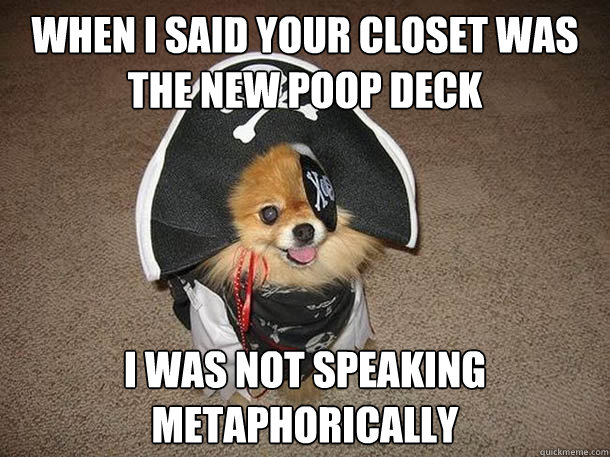 When I said your closet was the new poop deck I was not speaking metaphorically - When I said your closet was the new poop deck I was not speaking metaphorically  Inappropriate Sexual Innuendo Dog That Talks and Dresses Like a Pirate