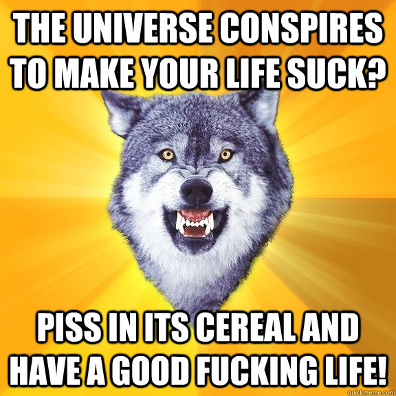 The Universe conspires to make your life suck? Piss in its cereal and have a good fucking life!  Courage Wolf