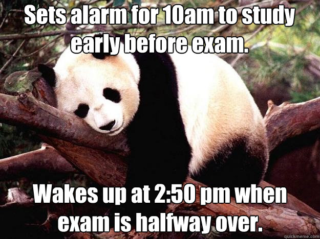 Sets alarm for 10am to study early before exam. Wakes up at 2:50 pm when exam is halfway over.  Procrastination Panda