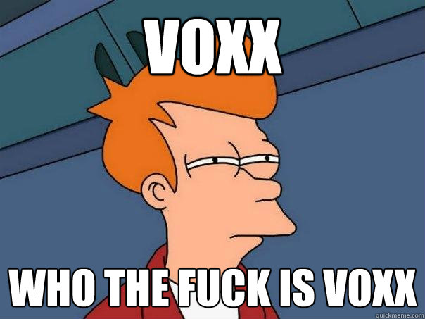 Voxx Who the Fuck is Voxx  Futurama Fry