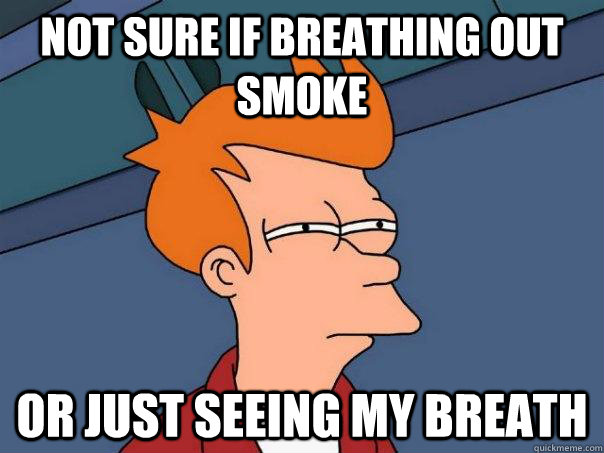 not sure if breathing out smoke or just seeing my breath - not sure if breathing out smoke or just seeing my breath  Futurama Fry