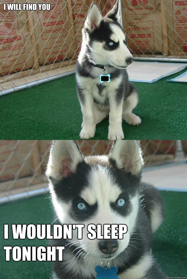 I will find you i wouldn't sleep tonight  Insanity puppy