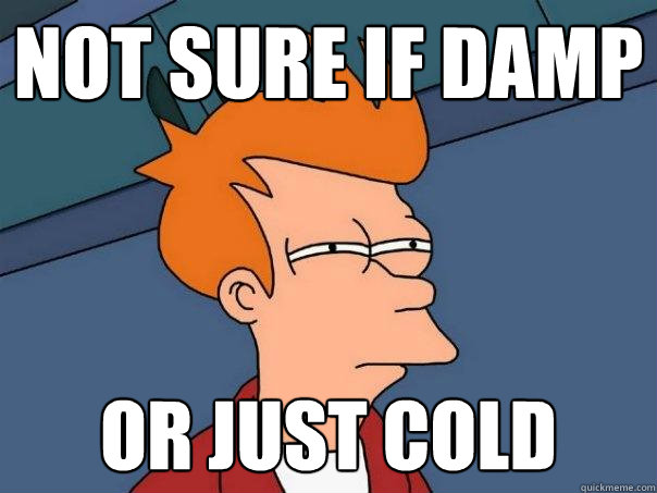 Not sure if damp or just cold  Futurama Fry