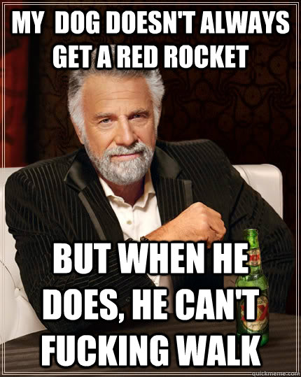 My  dog doesn't always get a red rocket But when he does, he can't fucking walk  The Most Interesting Man In The World