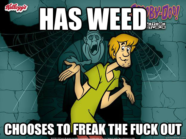 has weed     chooses to freak the fuck out  Irrational Shaggy