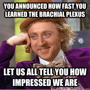 You announced how fast you learned the brachial plexus Let us all tell you how impressed we are  Condescending Wonka