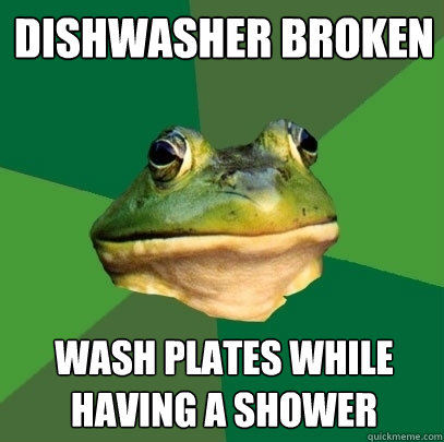 Dishwasher broken wash plates while having a shower  Foul Bachelor Frog