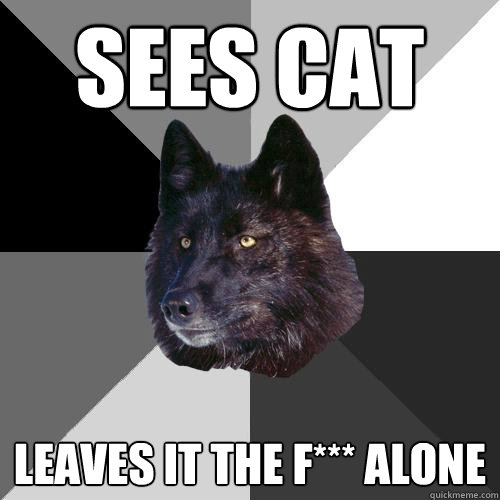 Sees Cat Leaves It the f*** Alone  Sanity Wolf