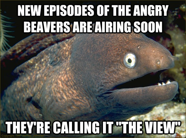 New episodes of the Angry Beavers are airing soon They're calling it 