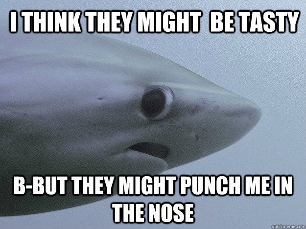 I think they might  be tasty b-but they might punch me in the nose  Shy Shark