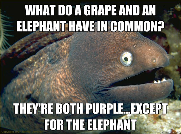 What do a grape and an elephant have in common? They're both purple...except for the elephant  Bad Joke Eel