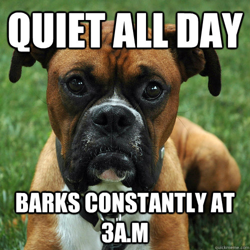 Quiet all day Barks constantly at 3a.m  