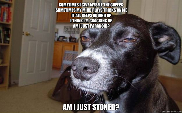 Sometimes I give myself the creeps
 Sometimes my mind plays tricks on me
 It all keeps adding up
 I think I'm cracking up
 Am I just paranoid? Am I just stoned?
  Skeptical Mutt