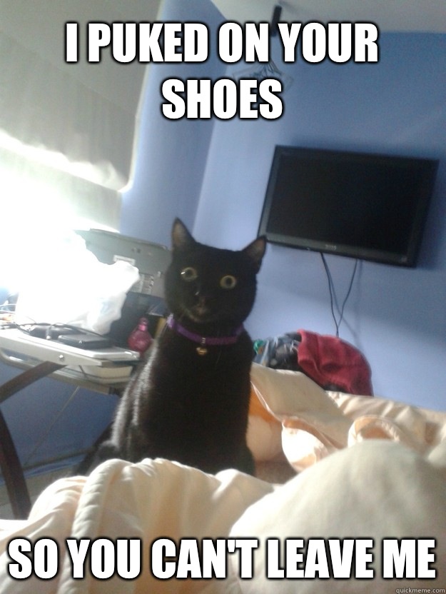 I puked on your shoes So you can't leave me  overly attached cat