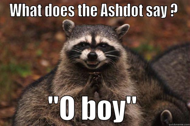 WHAT DOES THE ASHDOT SAY ?  