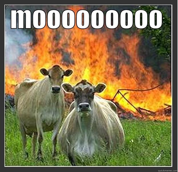 MOOOOOOOOO  Evil cows