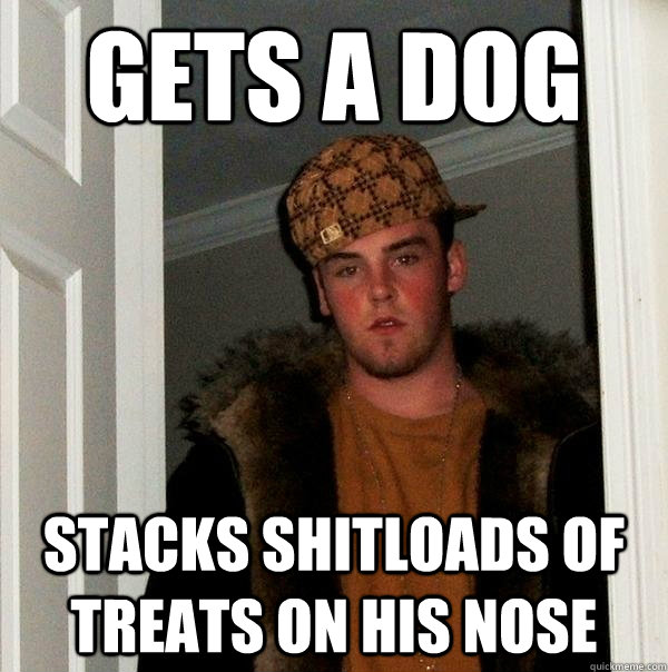 Gets a dog Stacks shitloads of treats on his nose  Scumbag Steve