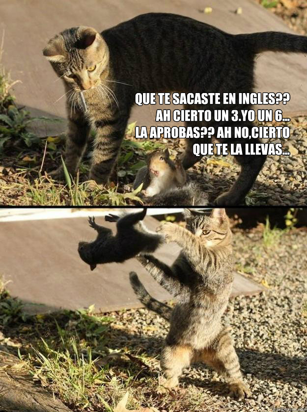 Que te sacaste en Ingles??
Ah cierto un 3.Yo un 6...
La aprobas?? ah no,cierto que te la llevas...  Annoying Squirrel