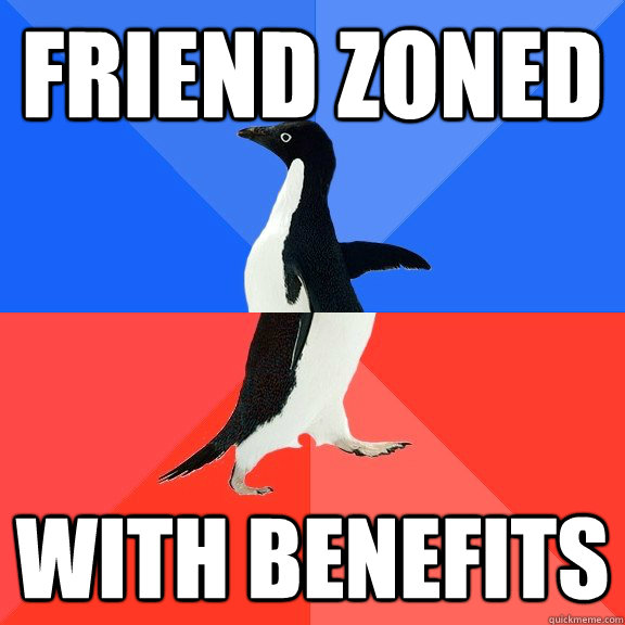 Friend Zoned With benefits - Friend Zoned With benefits  Socially Awkward Awesome Penguin