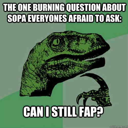 the one burning question about sopa everyones afraid to ask: can i still fap? - the one burning question about sopa everyones afraid to ask: can i still fap?  Philosoraptor