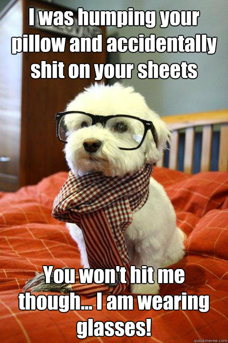 I was humping your pillow and accidentally shit on your sheets You won't hit me though... I am wearing glasses!  Hipster Dog