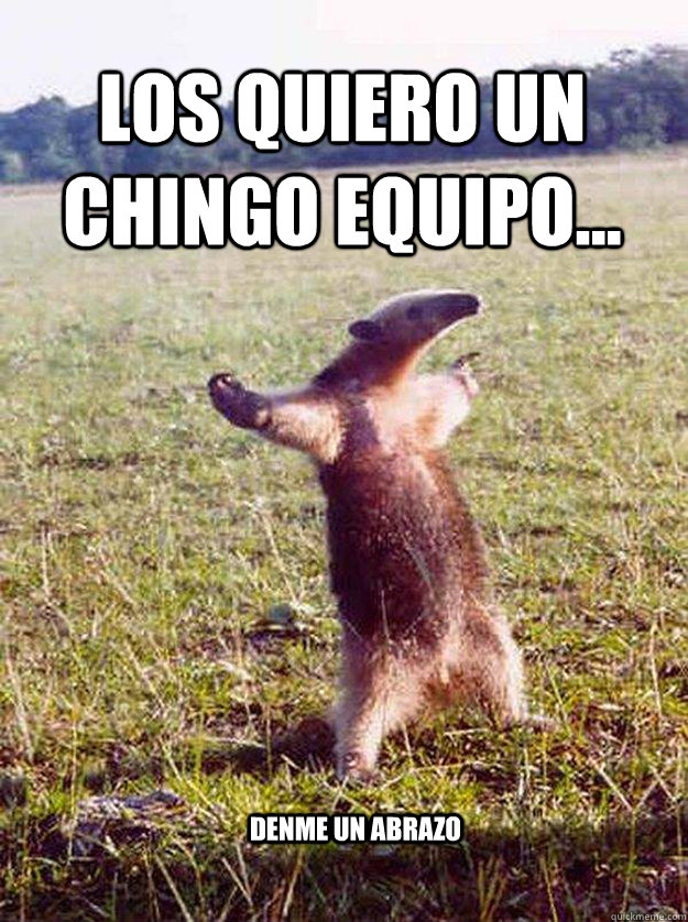 los quiero un chingo equipo... denme un abrazo  - los quiero un chingo equipo... denme un abrazo   come at me bro anteater