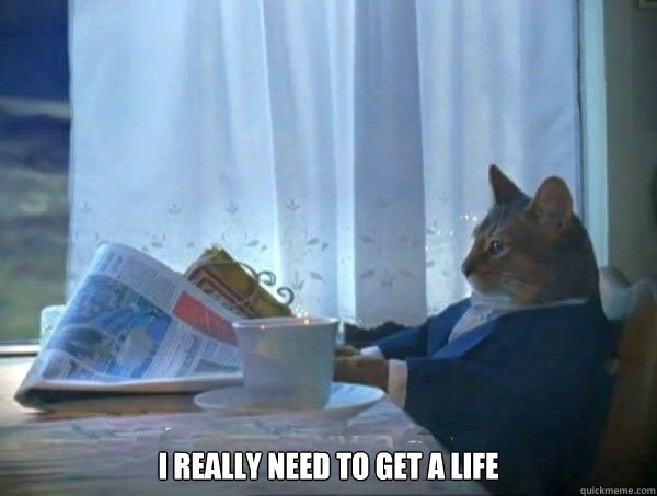  I really need to get a life   morning realization newspaper cat meme