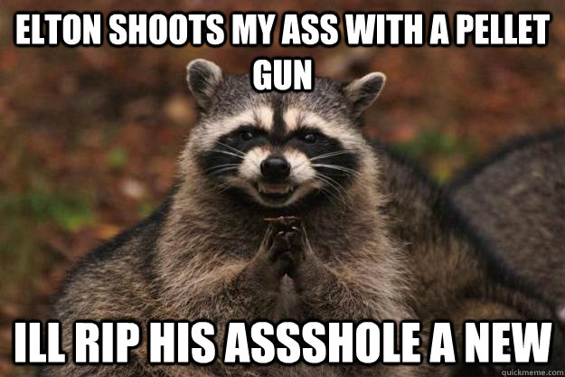 Elton shoots my ass with a pellet gun Ill rip his assshole a new  - Elton shoots my ass with a pellet gun Ill rip his assshole a new   Evil Plotting Raccoon