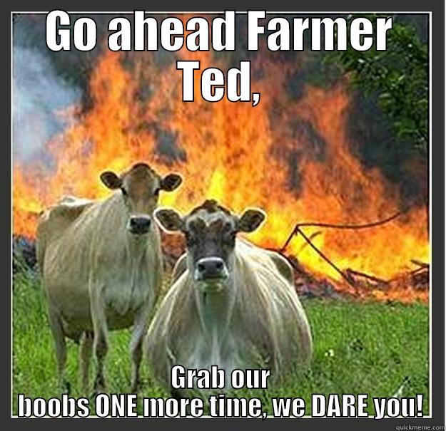 GO AHEAD FARMER TED, GRAB OUR BOOBS ONE MORE TIME, WE DARE YOU! Evil cows