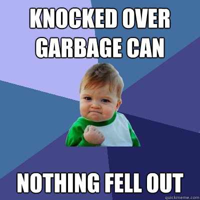 knocked over garbage can nothing fell out  Success Kid