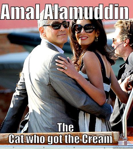 AMAL ALAMUDDIN  THE CAT WHO GOT THE CREAM      Misc