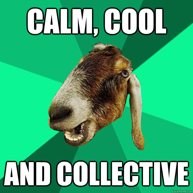 calm, cool And collective - calm, cool And collective  Incorrect Expression Goat