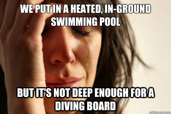 we put in a heated, in-ground swimming pool but it's not deep enough for a diving board  First World Problems