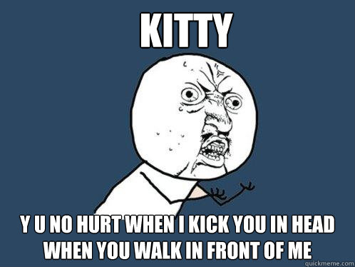 Kitty y u no hurt when i kick you in head when you walk in front of me  Y U No