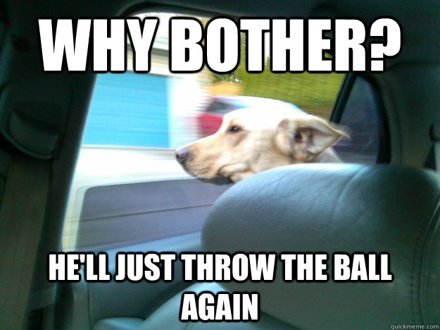 Why bother? He'll just throw the ball again - Why bother? He'll just throw the ball again  Emo Dog