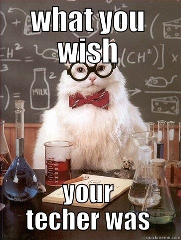 WHAT YOU WISH YOUR TECHER WAS Chemistry Cat