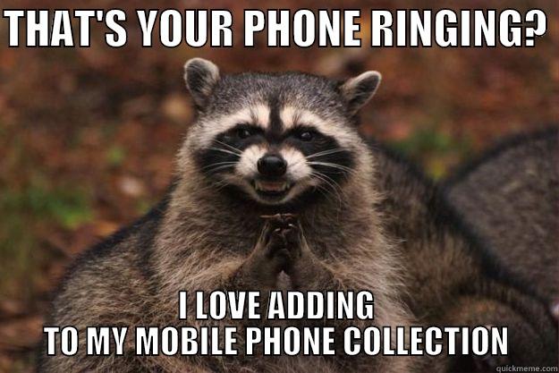 THAT'S YOUR PHONE RINGING?  I LOVE ADDING TO MY MOBILE PHONE COLLECTION Evil Plotting Raccoon