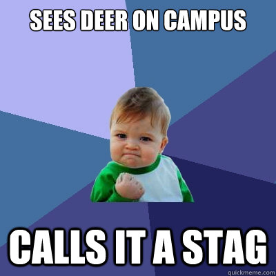 sees deer on campus calls it a stag  Success Kid