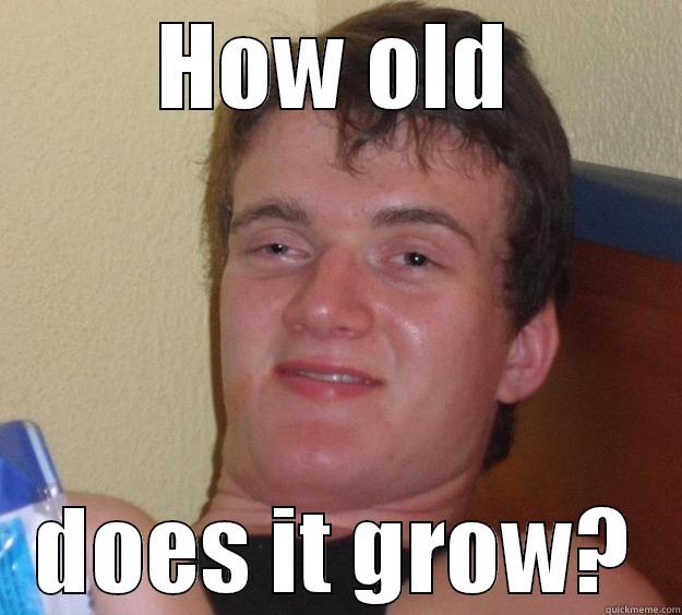 HOW OLD DOES IT GROW? 10 Guy