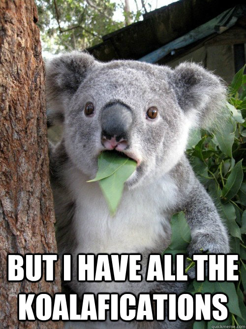  But I have all the koalafications  koala bear