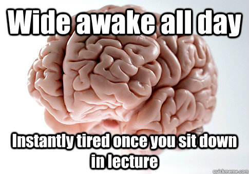 Wide awake all day Instantly tired once you sit down in lecture  Scumbag Brain