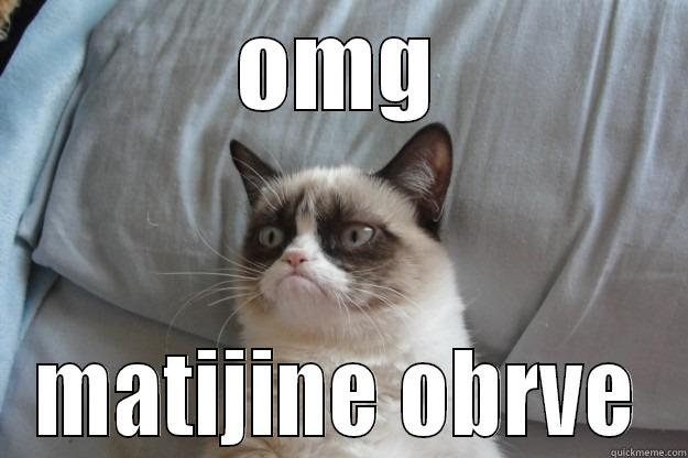 OMG MATIJINE OBRVE Grumpy Cat