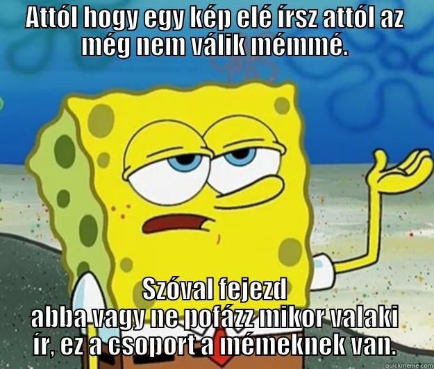 ATTÓL HOGY EGY KÉP ELÉ ÍRSZ ATTÓL AZ MÉG NEM VÁLIK MÉMMÉ. SZÓVAL FEJEZD ABBA VAGY NE POFÁZZ MIKOR VALAKI ÍR, EZ A CSOPORT A MÉMEKNEK VAN. Tough Spongebob